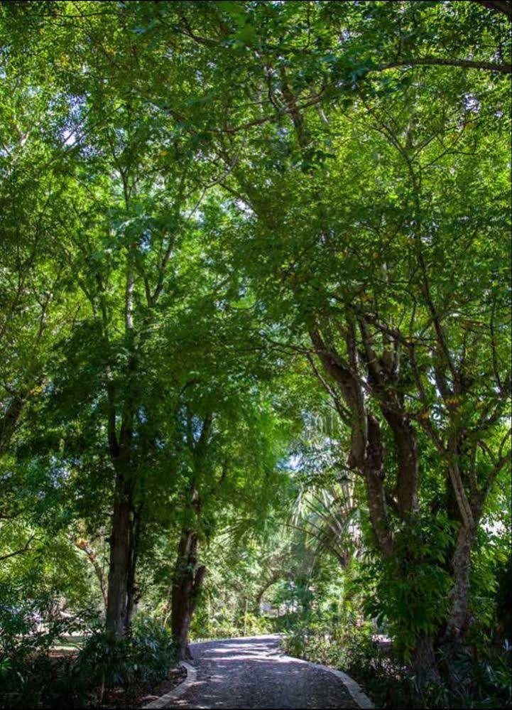 Bajo Komodo Eco Lodge 纳闽巴霍 外观 照片